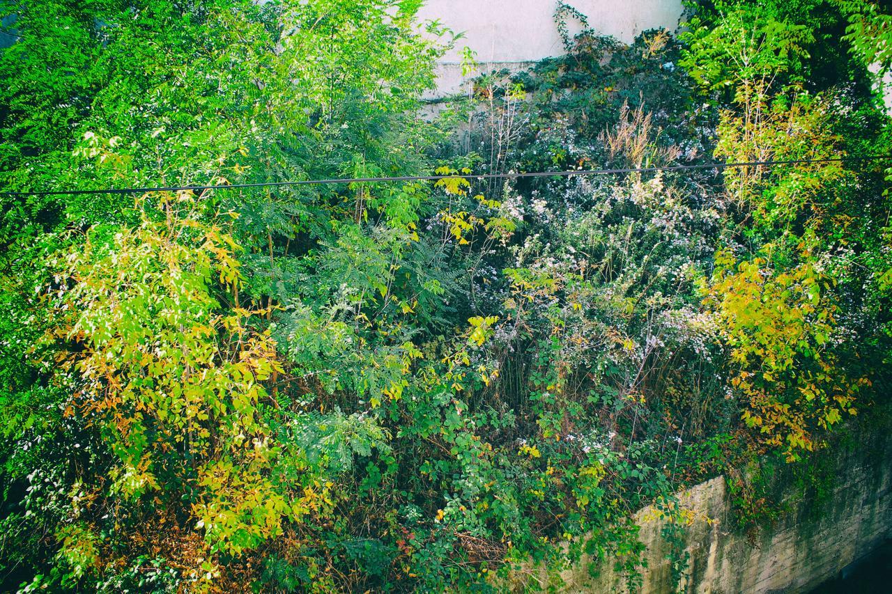 Calm Apartment Belgrado Exterior foto